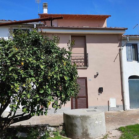 Appartamento Il Limone Pise Extérieur photo